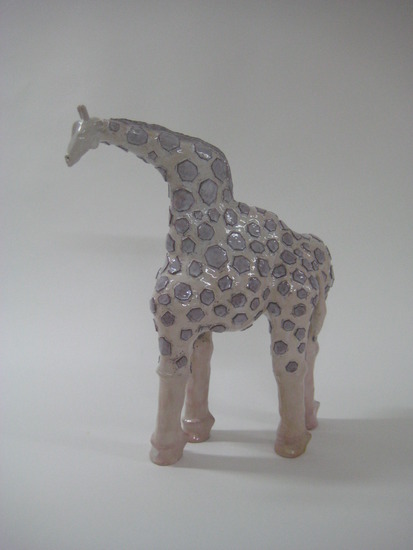 Giraffe en schildpad