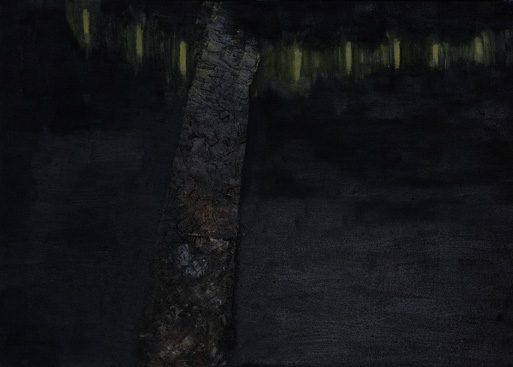 hondenuitlaatpad bij nacht