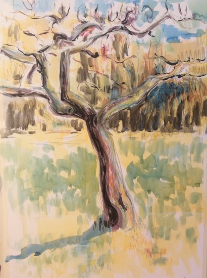 Appelboom in februari