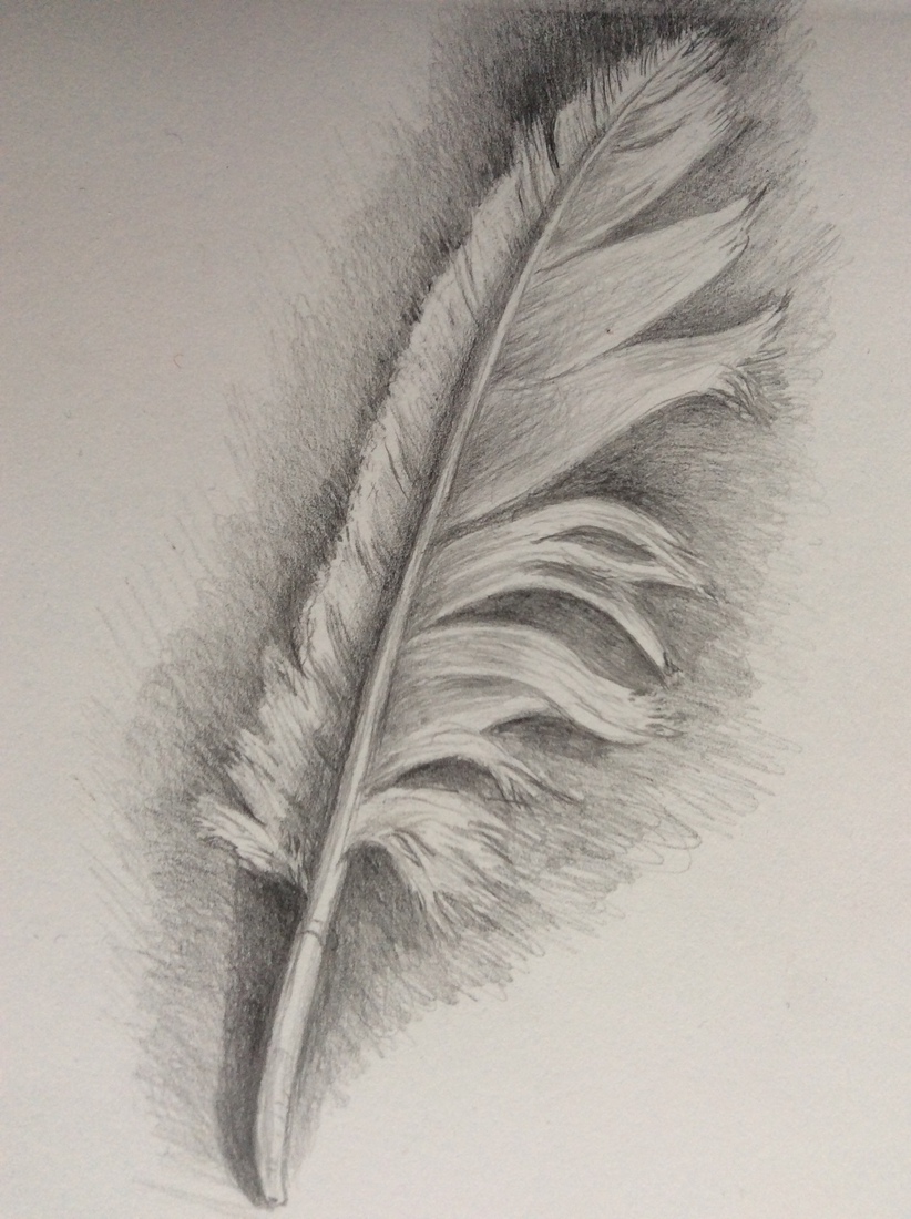 Crumpled feather
