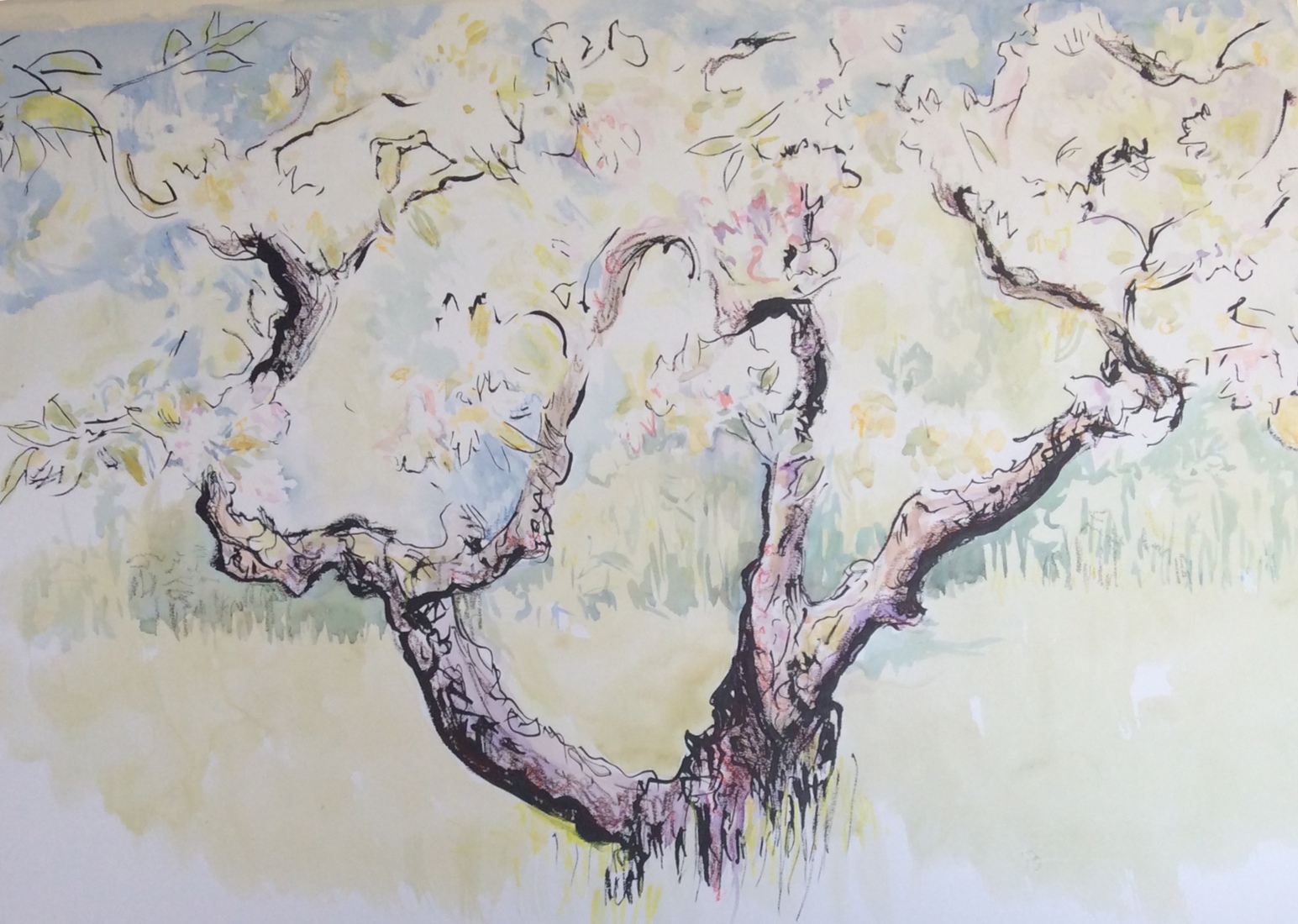 Stokoude Goudreinet in bloei