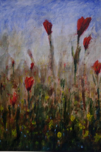 Klaprozen in het veld