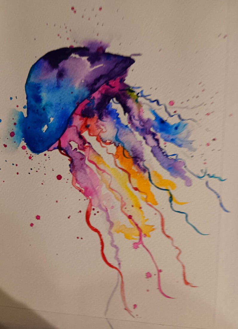 2023-11.3 jellyfish 1