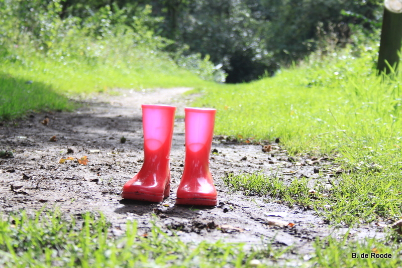 Landschappen