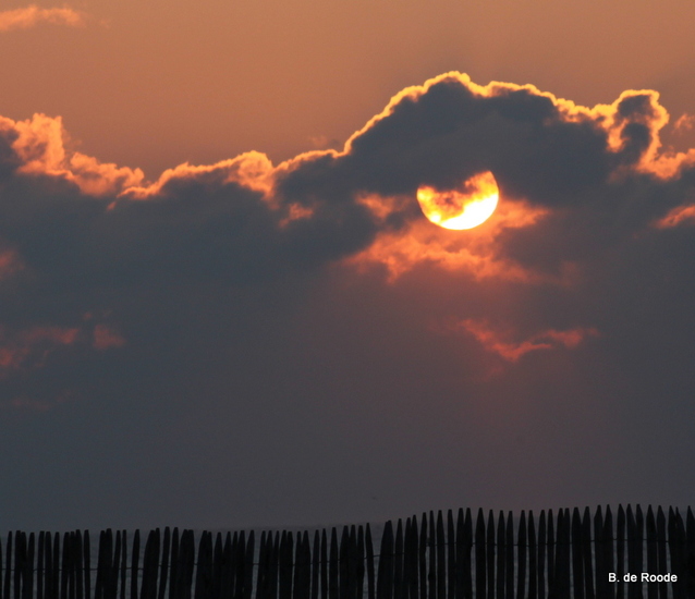 Landschappen