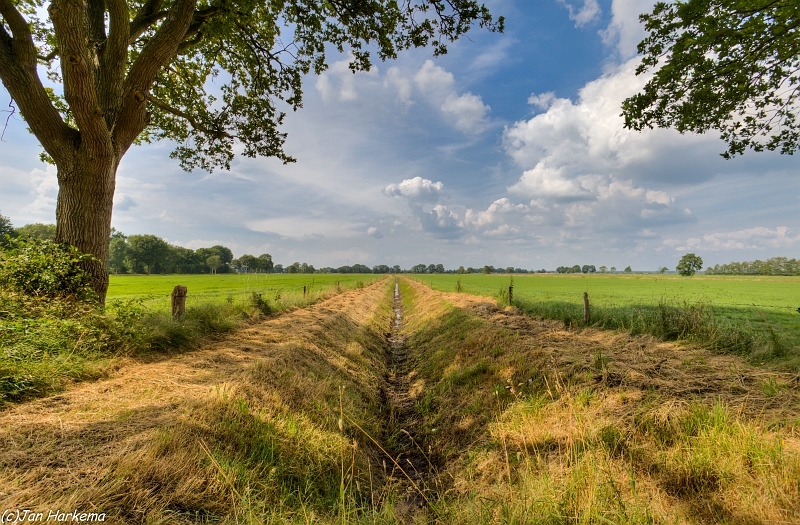 Fields of Drenthe