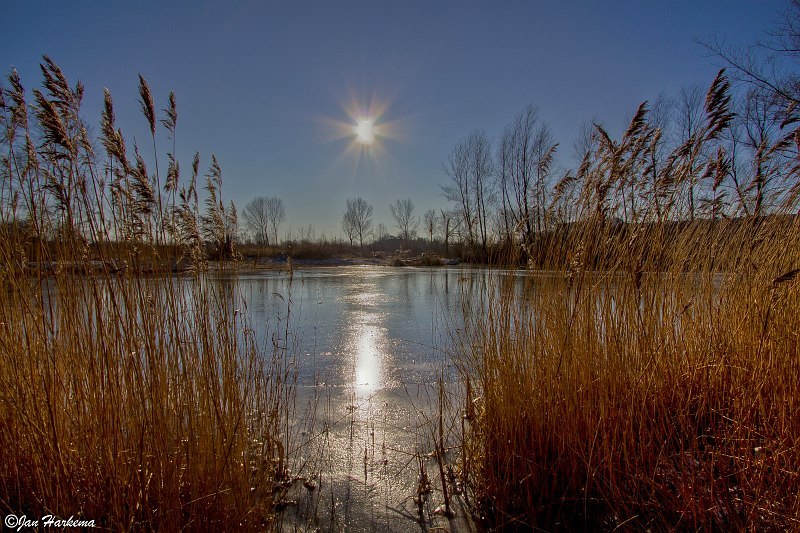 Door het riet