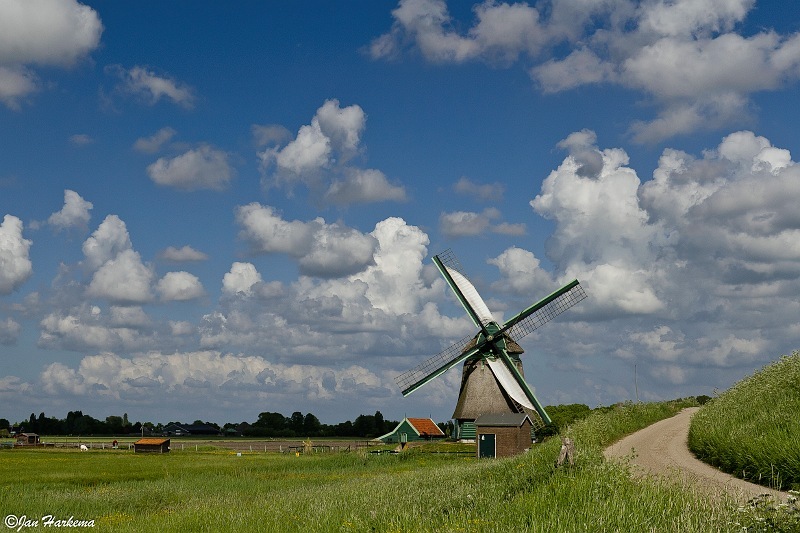 Molen