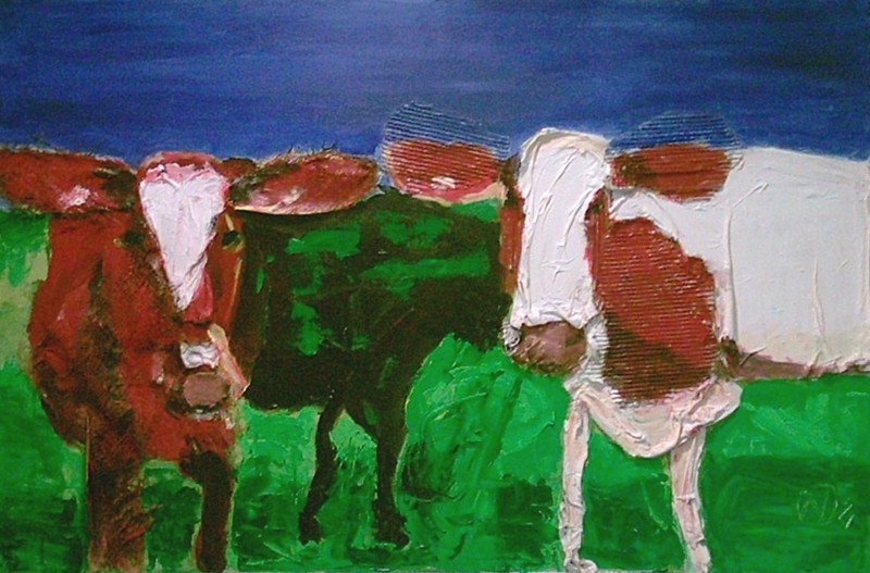 Drie koeien