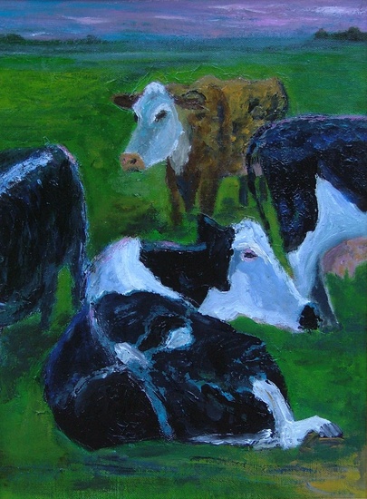 Groep koeien