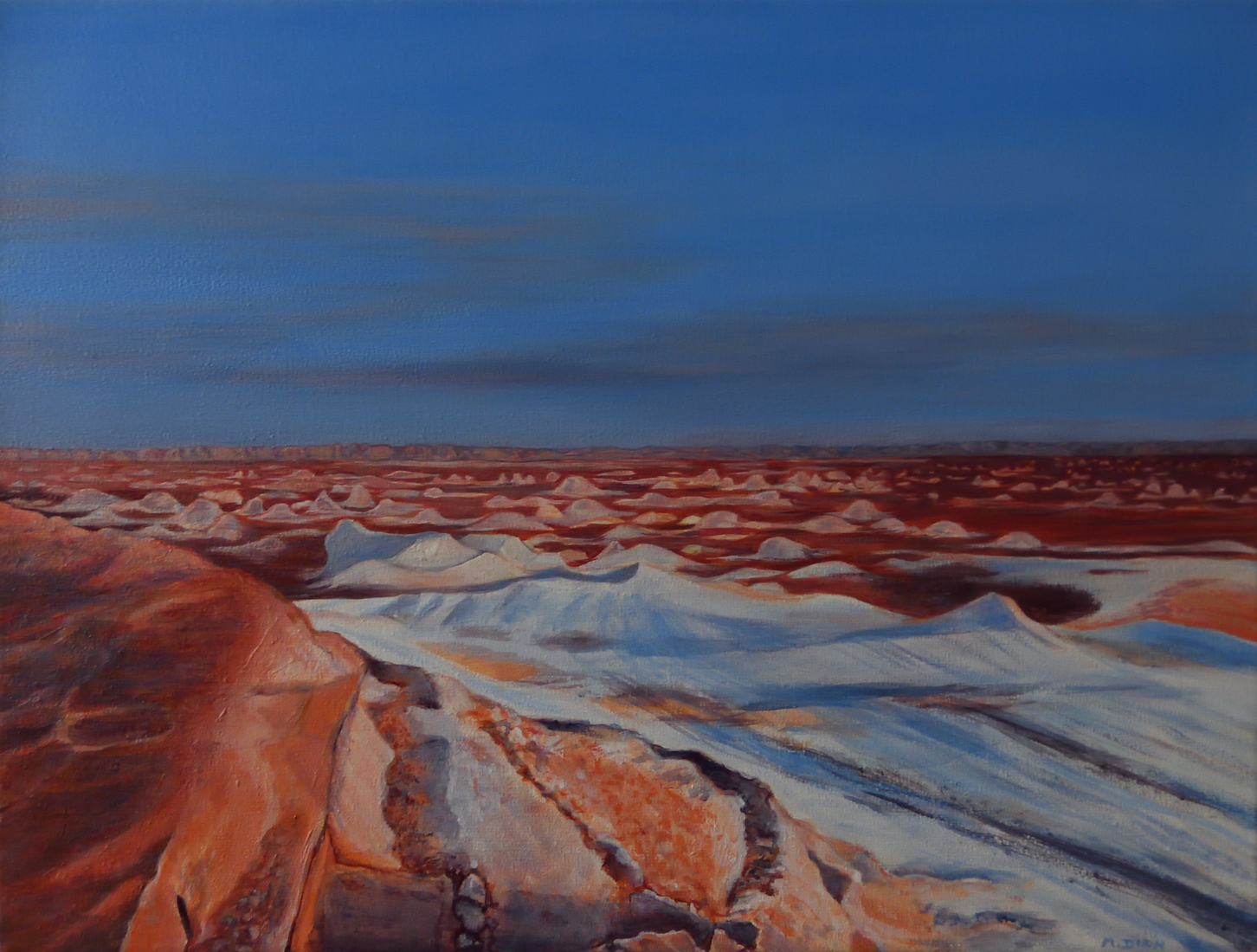 White desert