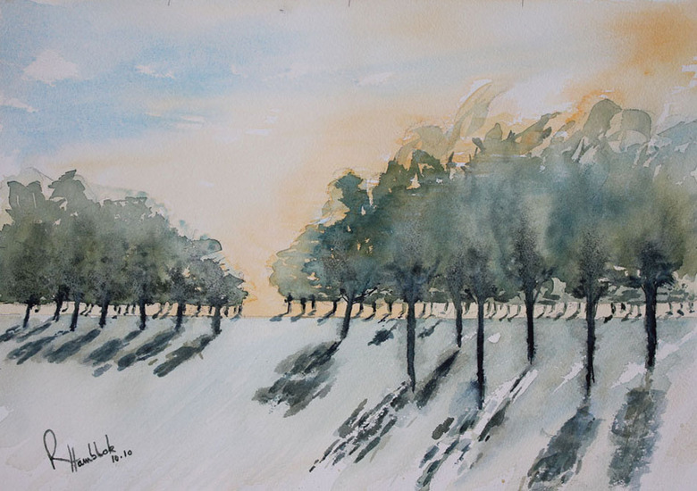 Trees with shadow and shades