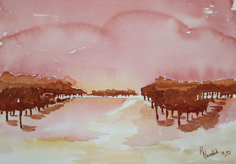 Shadows in the red forrest