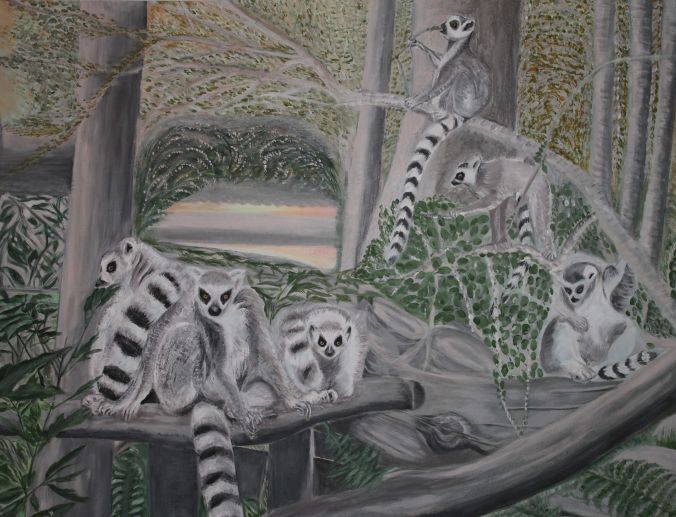 Een Maki leventje in Dierentuin Amersfoort