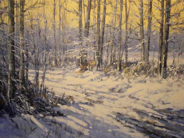 Winter Bospad Maashorst, Nistelrode