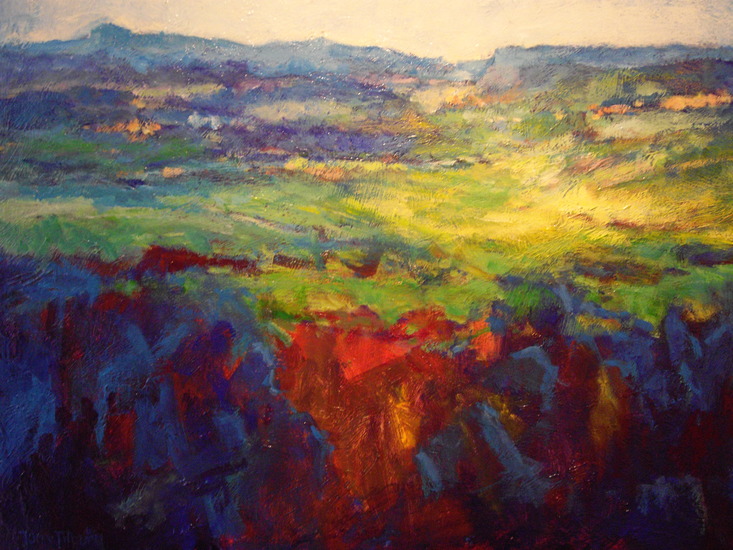 Omgeving Menerbes, Provence