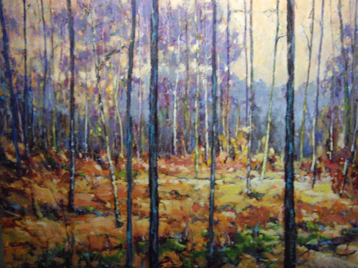 Maashorst Nistelrode