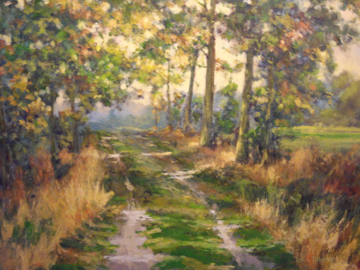 Landschap Nistelrode