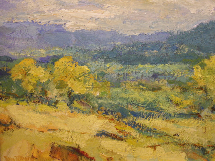 Omgeving Bonnieux, Provence