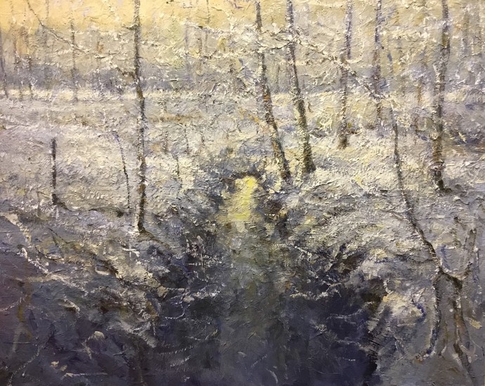 Winter Maashorst, Nistelrode.