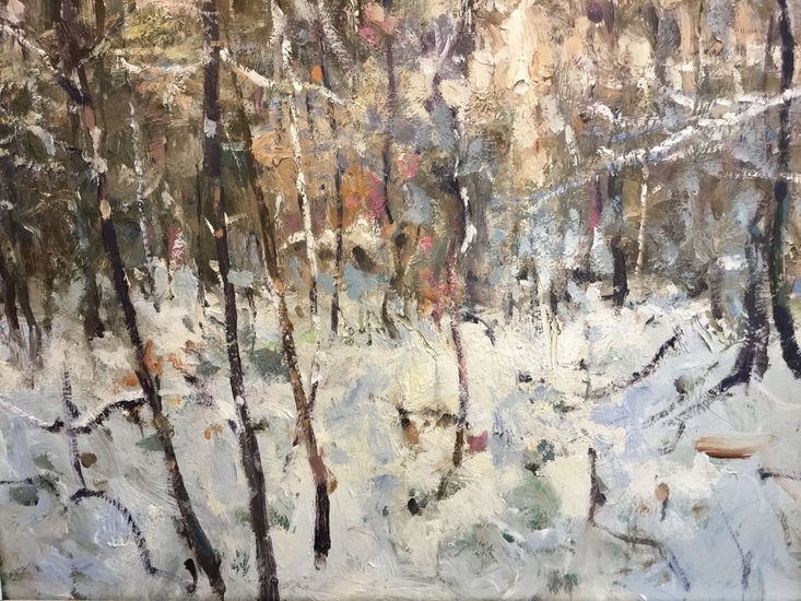 Winter Slingerpad, Maashorst.