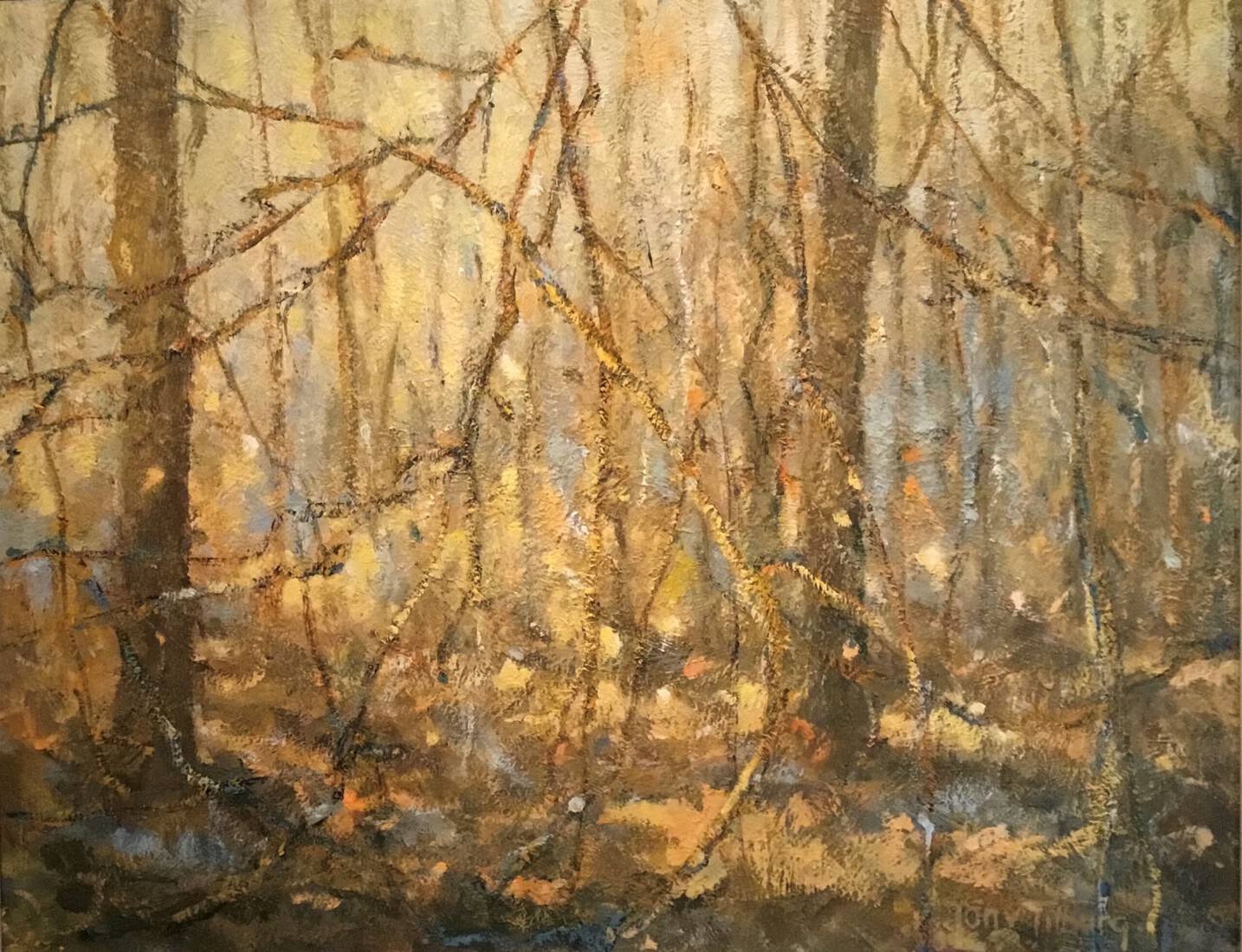 Herfst Slingerpad, Maashorst.