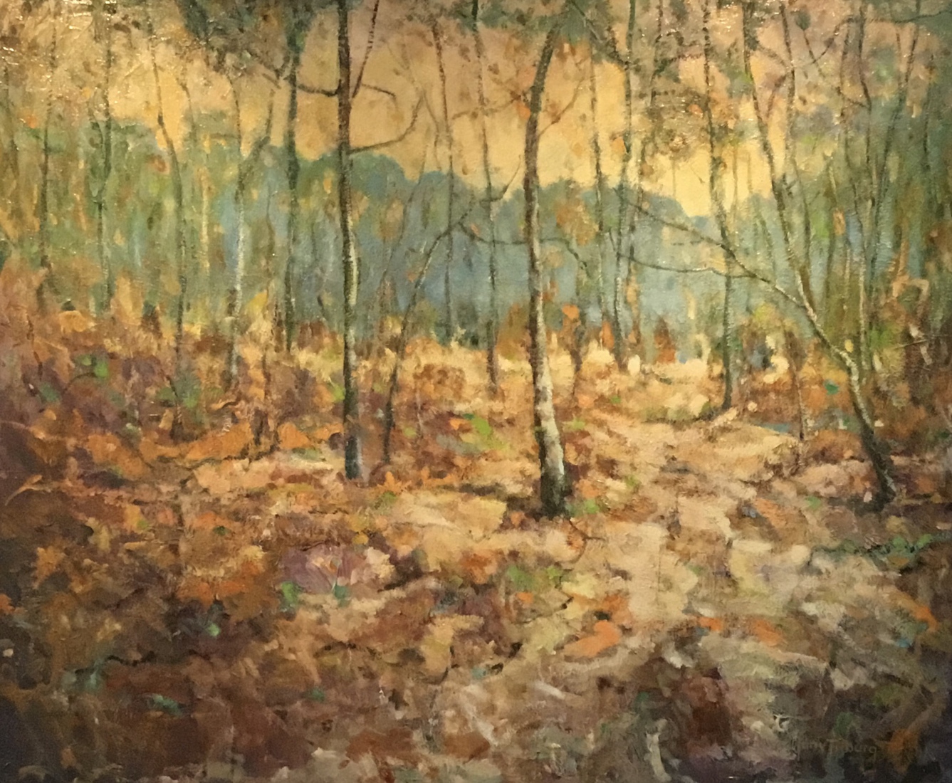 Najaar op de Maashorst, Nistelrode.