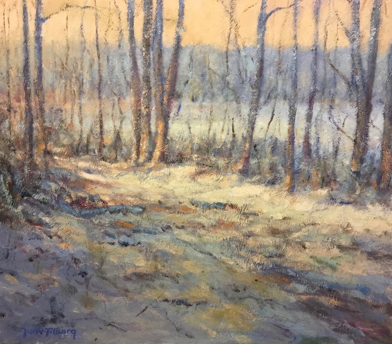 “Bospad”, Maashorst, Nistelrode.