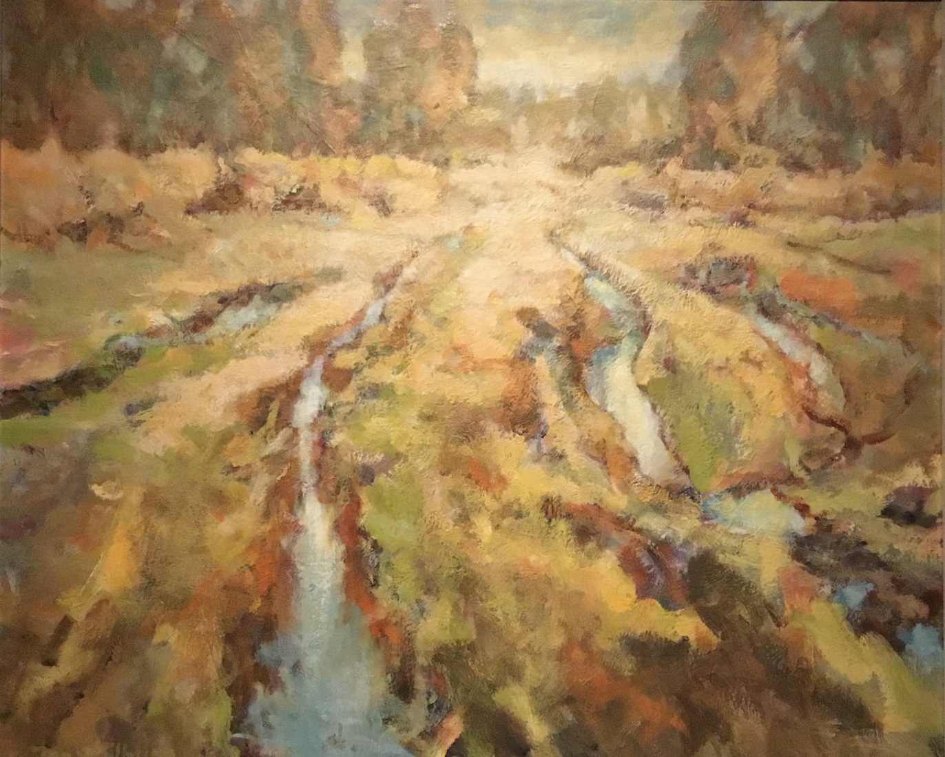 “Karrensporen”,Maashorst.