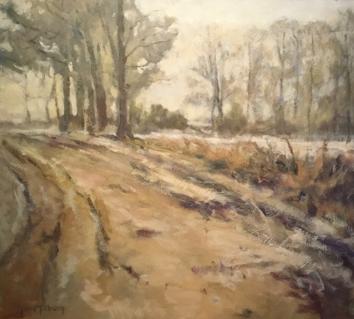 “Winterse dag”, Maashorst.