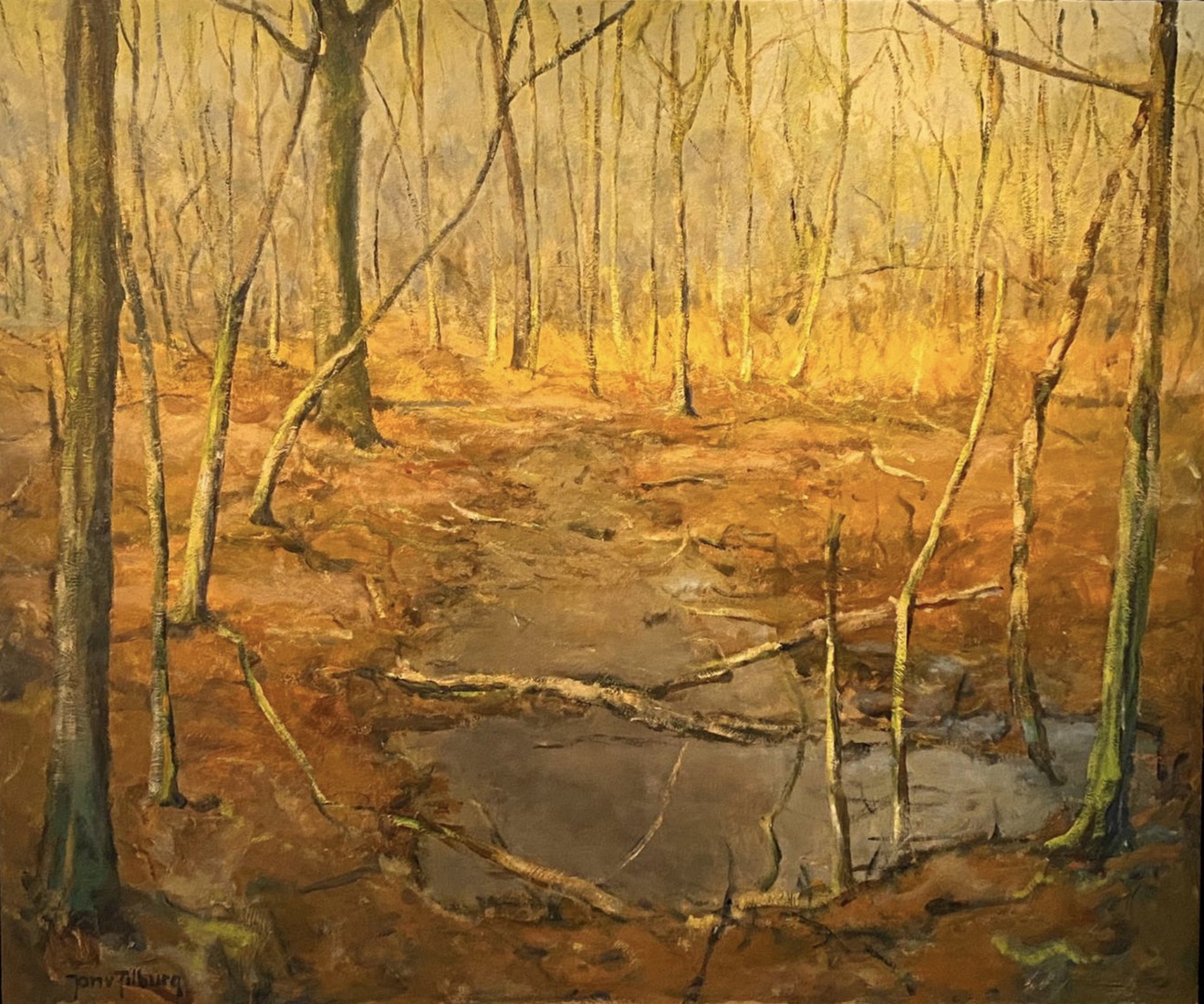 “winterbos”, Maashorst.