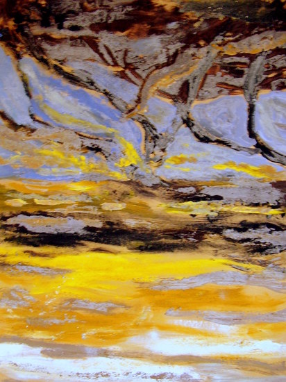 Olijfbomen in de storm.