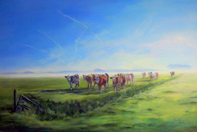 koeien op een zomerse dag