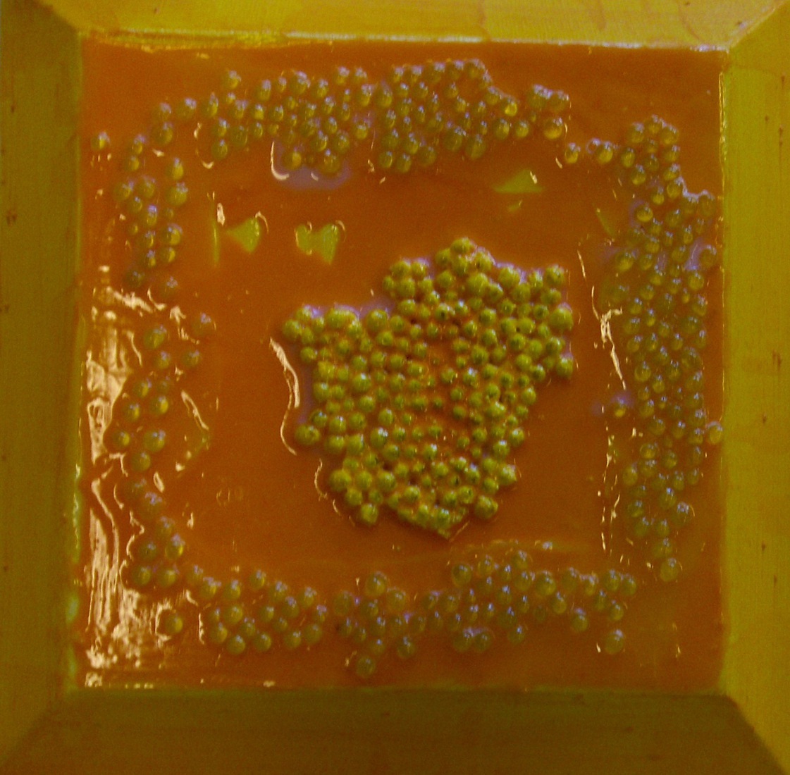 little treasures 3  2010