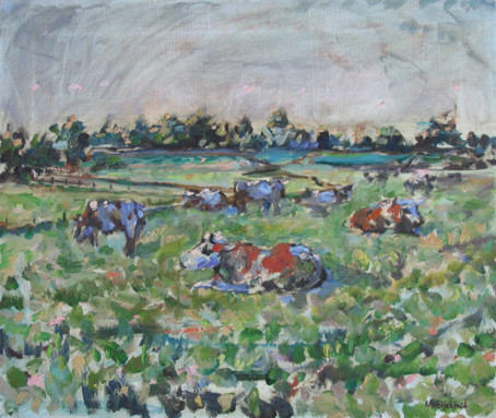 Koeien bij Staphorst