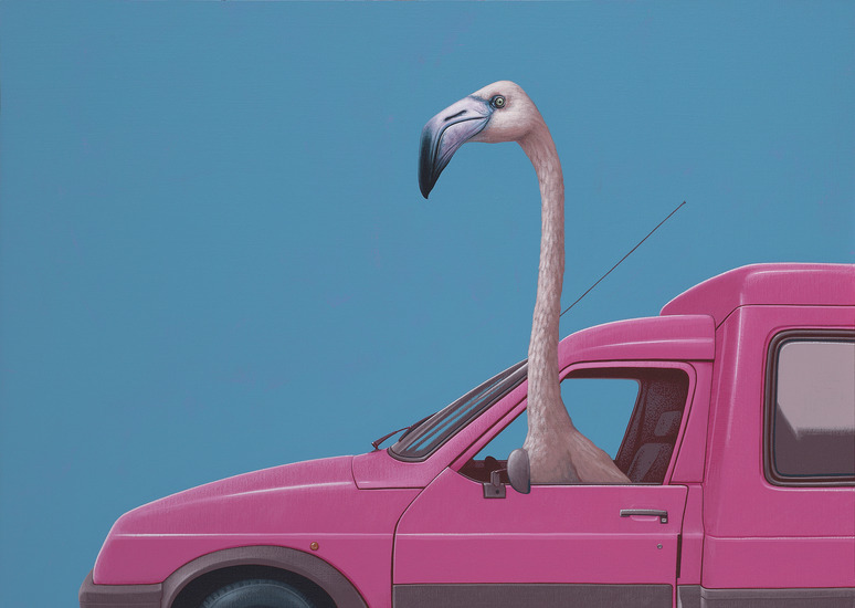 Flamingo
