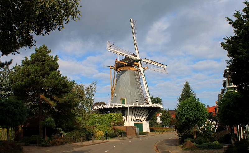 's-Gravenzande