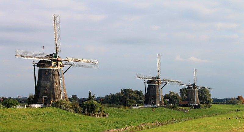 Driemanspolder