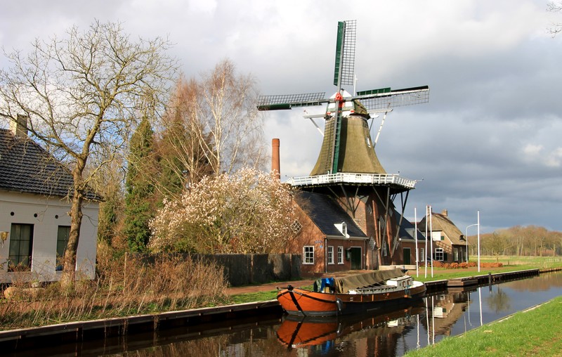De Wachter