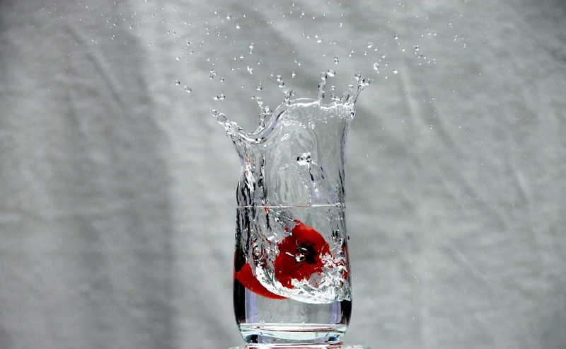 Tomaat in glas