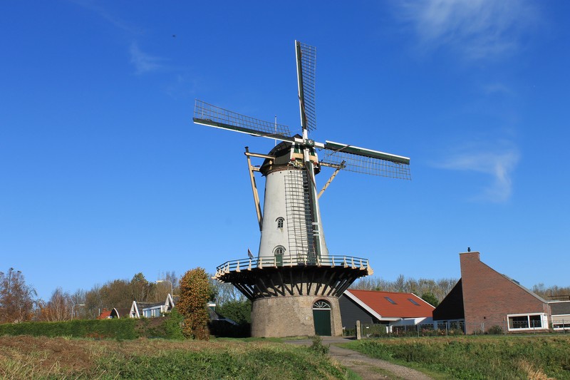 De Arend