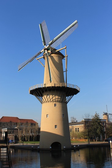 Kameel