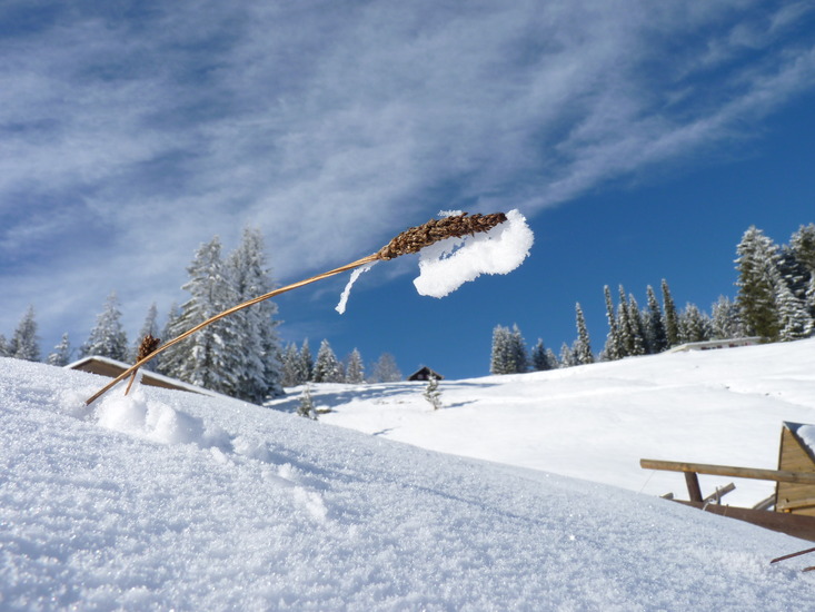 Kleinwalsertal
