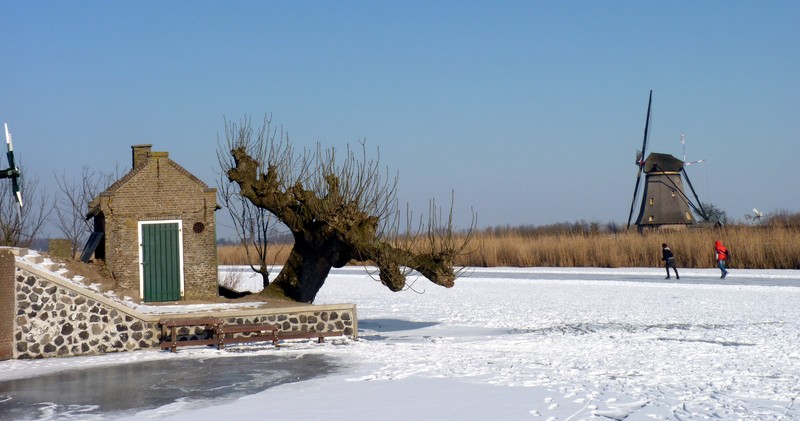 Alblasserwaard