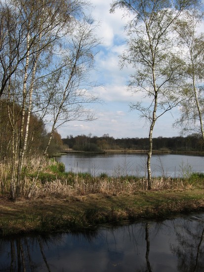 Heidevelden