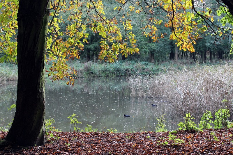 Hartelpark