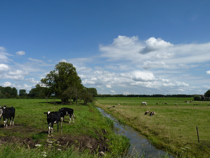 Hekelingen