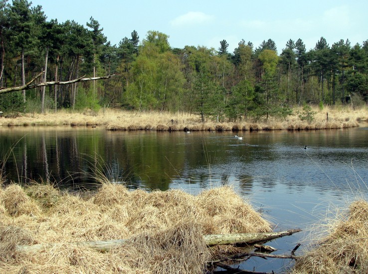 Oisterwijkse Vennen