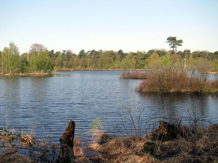 Oisterwijkse Vennen