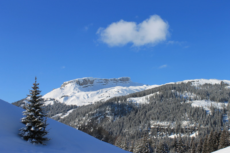 Kleinwalsertal
